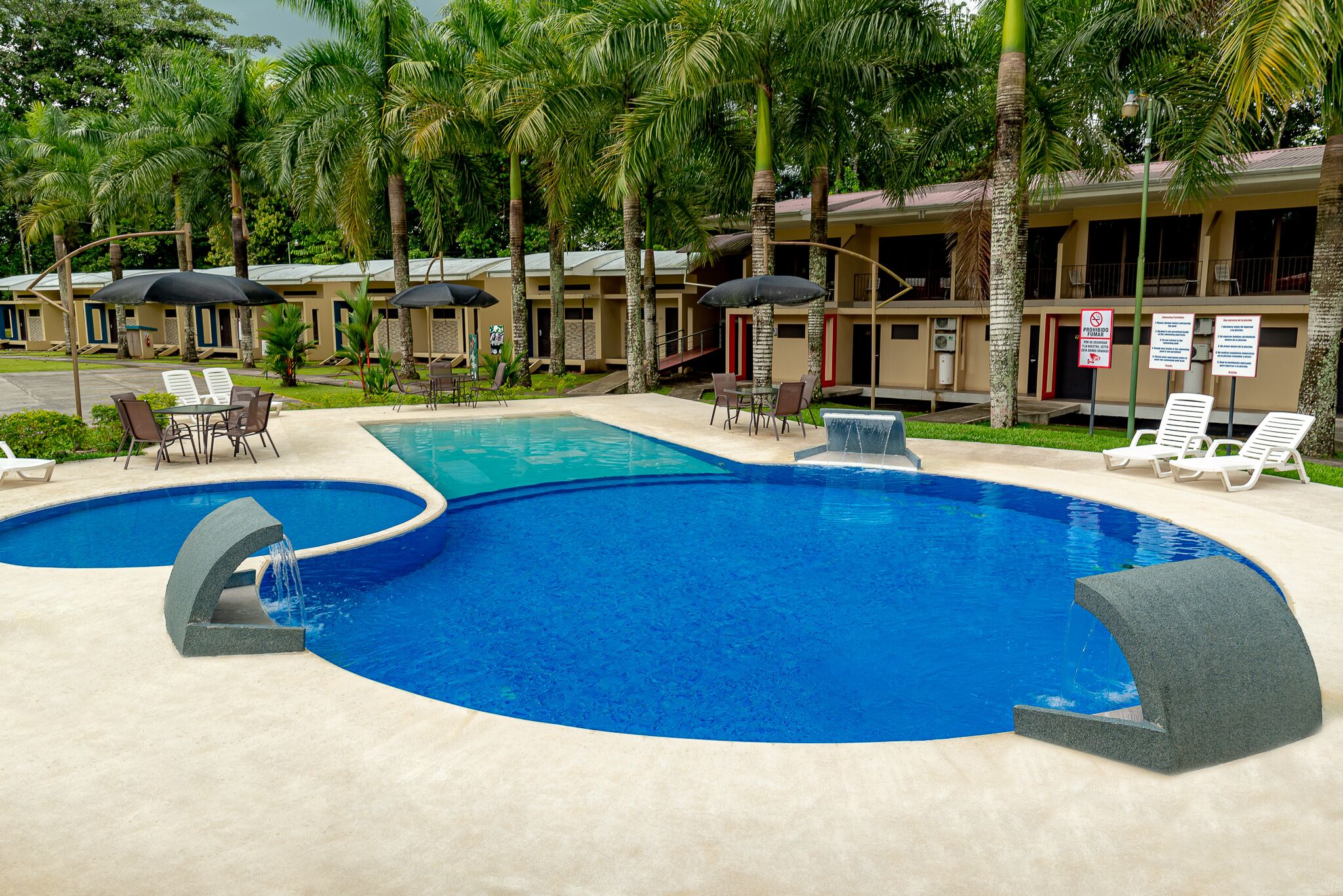 Outdoor pool, sun loungers