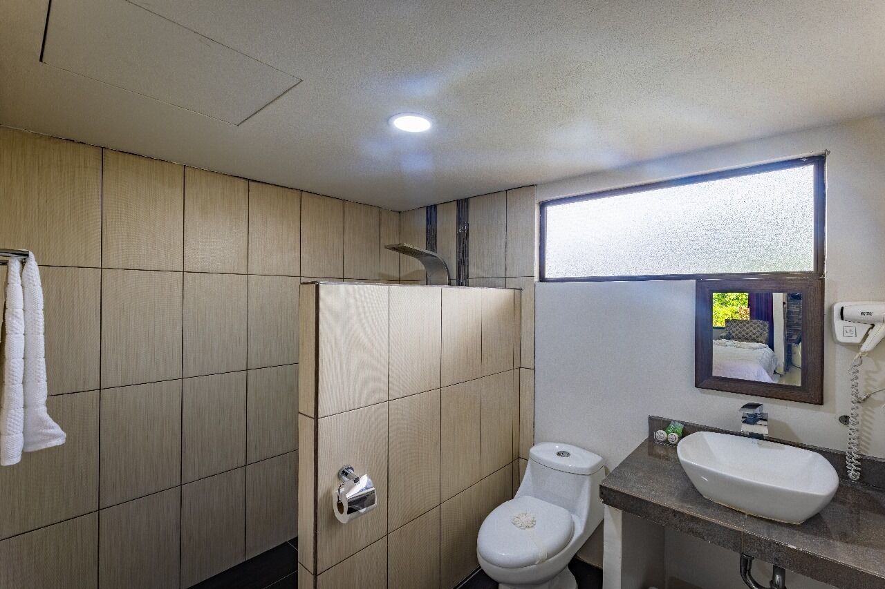 suite | bathroom | shower, free toiletries, bathrobes, bidet