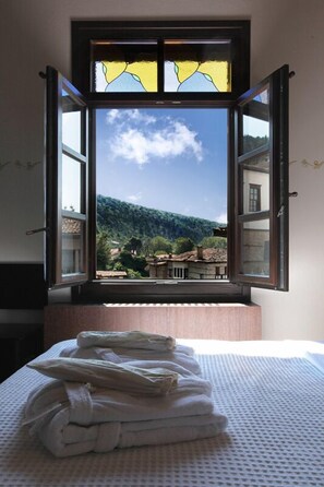 Dobbelt- eller tomannsrom – deluxe | Utsikt fra rommet