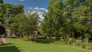 Une pelouse bien entretenue avec une piscine, entourée d’arbres adultes et d’un bâtiment doté de grandes fenêtres.