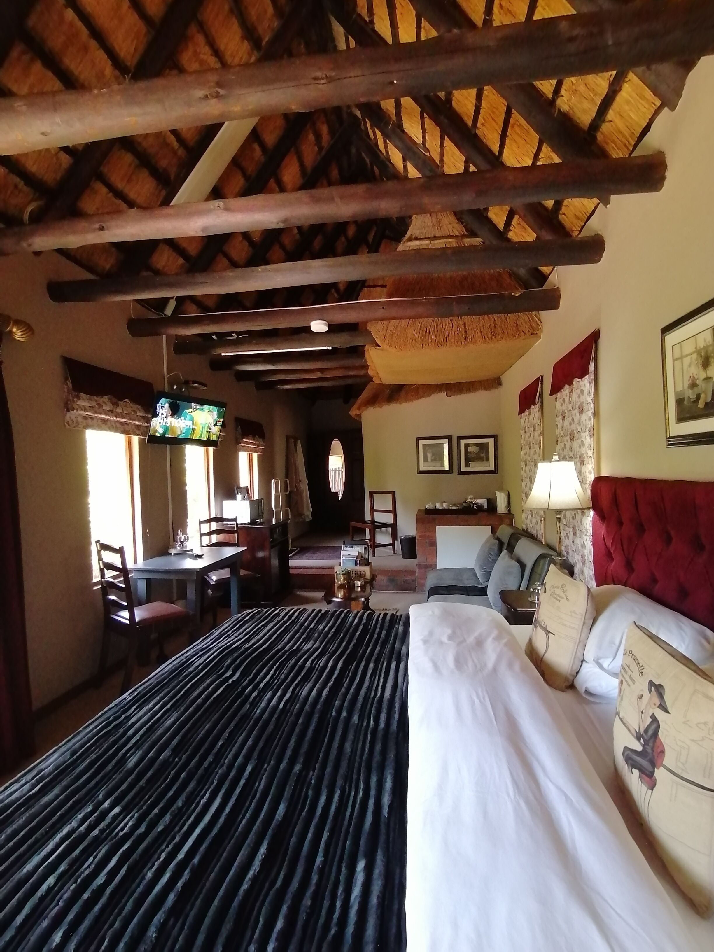 Classic-Studio (Otter)