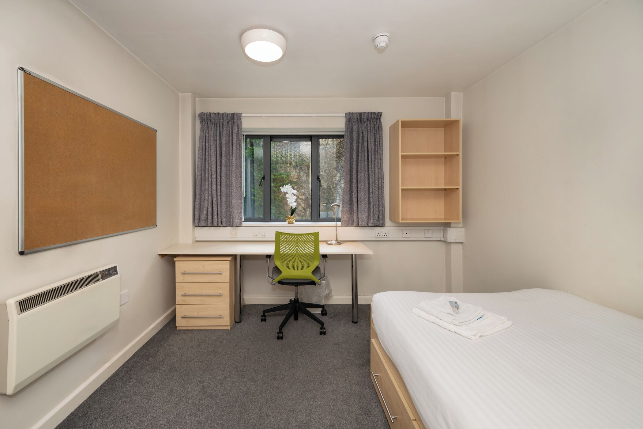 Foto - University Hall - UCC Summer Beds