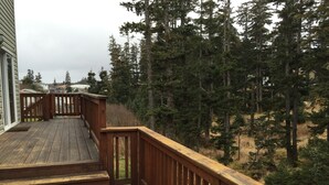 Eine Holzterrasse mit Geländer, mit Blick auf ein bewaldetes Gebiet.
