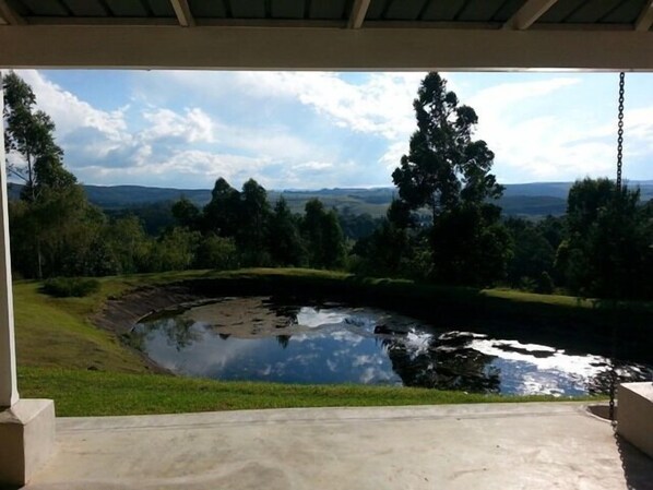 Vista dalla struttura