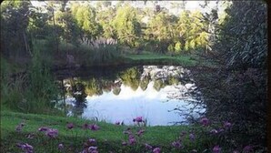 A pond surrounded by greenery and purple flowers. - Arum Hill Lodge (Balgowan)