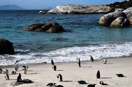 Una playa cerca, arena blanca