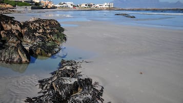 White sand, 3 beach bars
