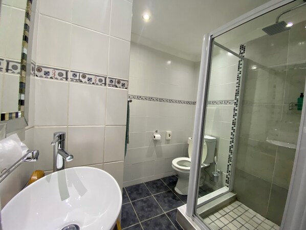 Une salle de bain avec un lavabo blanc, des toilettes et une douche séparée par une paroi en verre.
