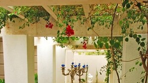 Een terras met eettafel, gedekt voor een maaltijd, omringd door stenen banken en een pergola begroeid met klimplanten.
