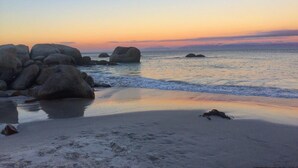 Une plage avec de gros rochers et une eau calme au coucher du soleil.