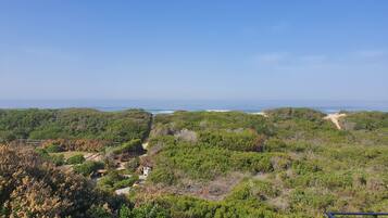 Basic-Vierbettzimmer | Blick auf den Garten