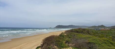 A coastal landscape with a sandy beach, green vegetation, and distant hills.