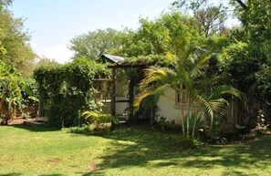 A lush garden with a small house, a wooden pergola, and various tropical plants. - Blue Cottages (Hoedspruit)