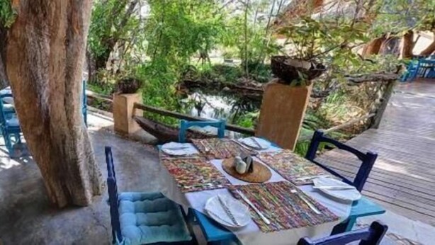 A dining table set outdoors with chairs, surrounded by greenery and a wooden deck. - Blue Cottages (Hoedspruit)