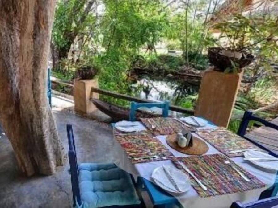 Internasjonale retter, utsikt mot hagen