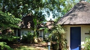 A traditional thatched-roof hut with a blue door, surrounded by lush greenery and other similar huts. - Blue Cottages (Hoedspruit)