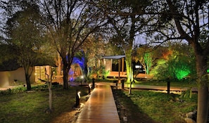 A wooden pathway leading to a covered area with trees and illuminated plants. - Masodini Private Game Lodge (Hoedspruit)