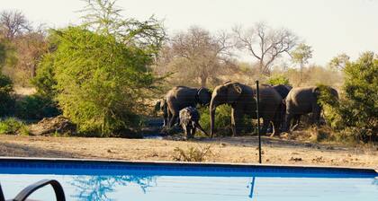 Masodini Private Game Lodge