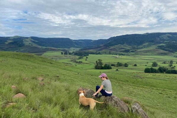Property grounds - Rockwood Lodges (Karkloof Nature Reserve)