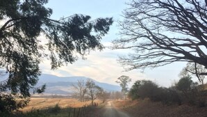 A rural road with trees on either side, leading towards distant mountains. - Rockwood Lodges (Karkloof Nature Reserve)