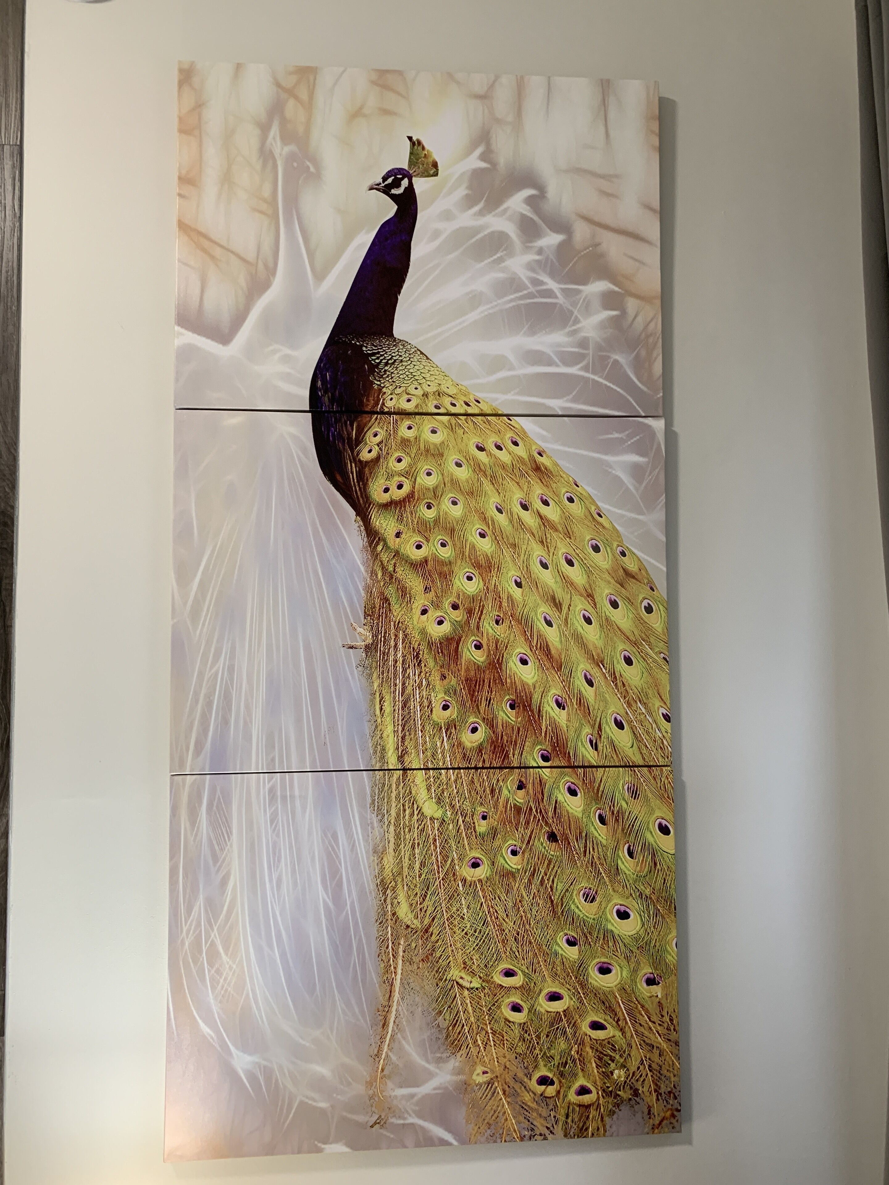 A peacock with a detailed, patterned tail.