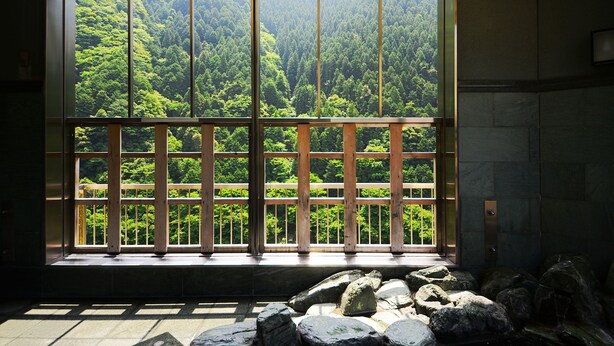 Una habitación con un ventanal que ofrece vistas a un área boscosa.