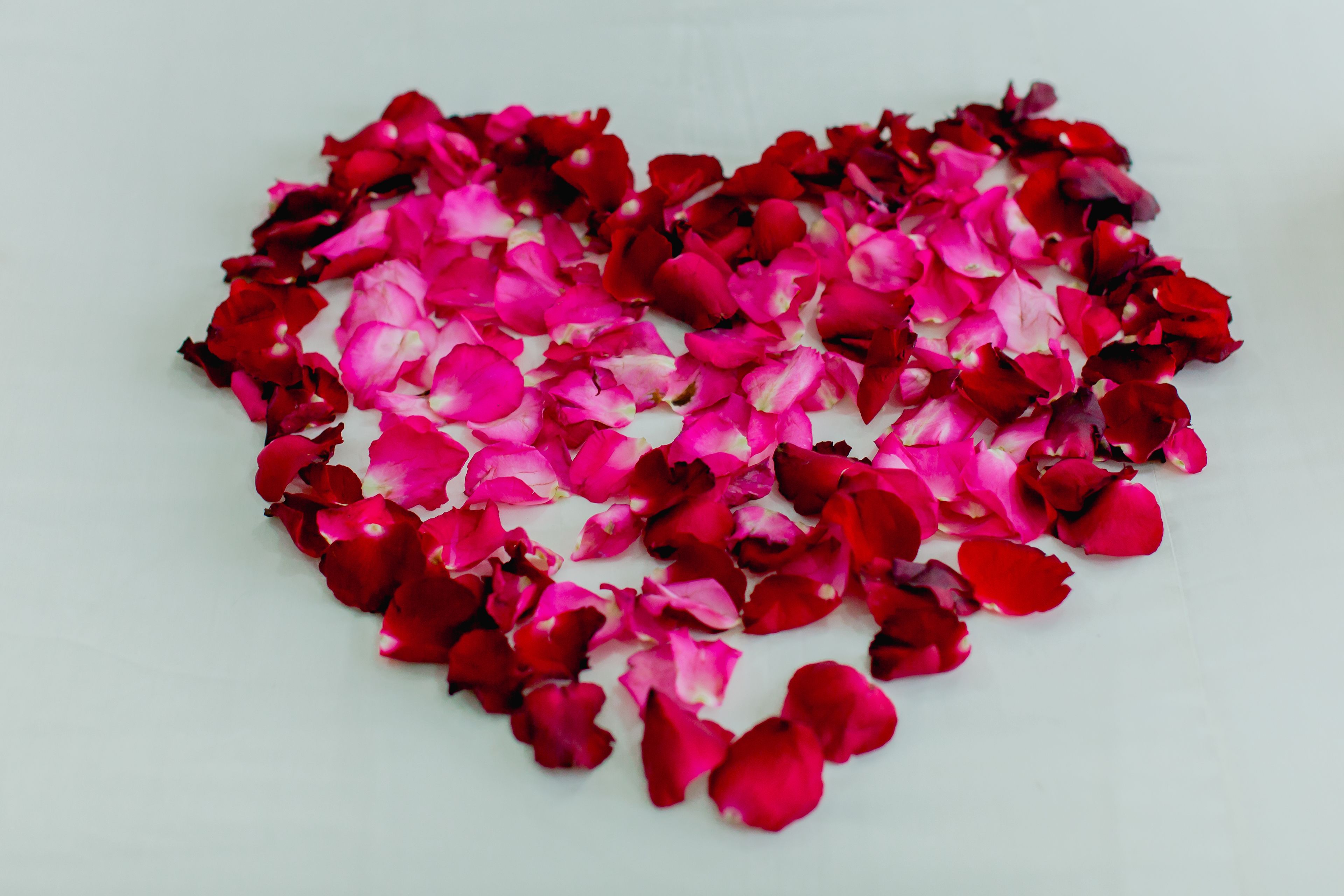 Foto - RK Guesthouse