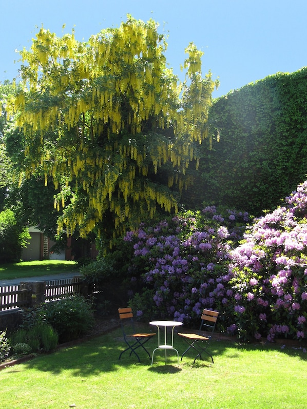 Quang cảnh vườn