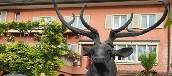 ลันด์โฮเทลเฮอร์เชิน