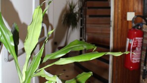 Een trap die leidt naar een tweede verdieping, een brandblusser aan de muur en een plantje op de voorgrond.