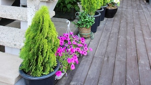 A wooden staircase leading to a balcony with potted plants and flowers. - Hi Jun Guesthouse (Seoul)
