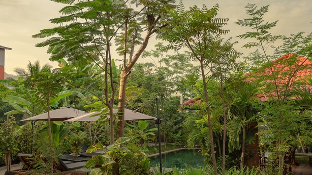 A lush garden with a swimming pool, surrounded by dense foliage and a few lounge chairs. - Eco Villa (Siem Reap)