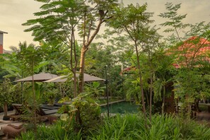 A lush garden with a swimming pool, surrounded by dense foliage and a few lounge chairs. - Eco Villa (Siem Reap)