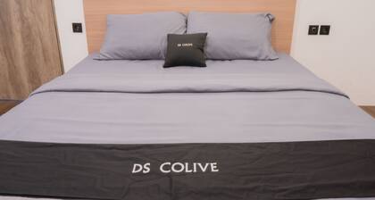 DS Residence Sinabung