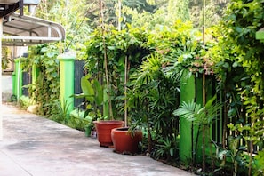 A pathway lined with green walls and potted plants. - Angkor Une Fois Home Stay (Siem Reap)