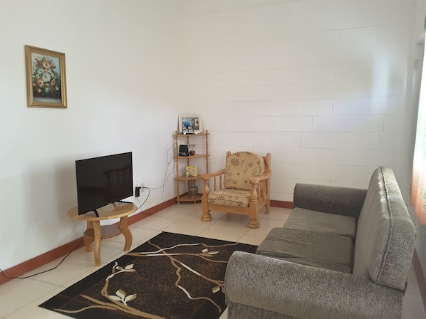 Flat-screen TV