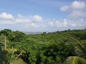 Apartamento, 2 habitaciones, cocina básica, vistas al valle | Vistas desde la habitación