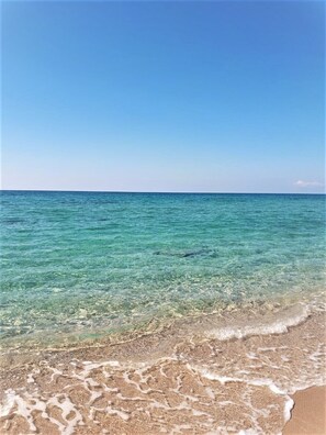해변