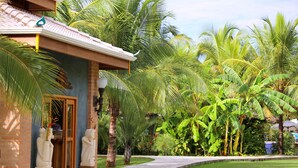 A pathway leading to a building with a tiled roof, surrounded by lush greenery including palm trees and banana plants. -  Hot Beach Raízes (Olímpia)