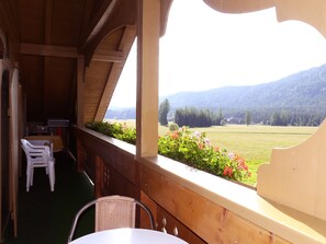 View from property - Haus Schönberg (Leutasch)