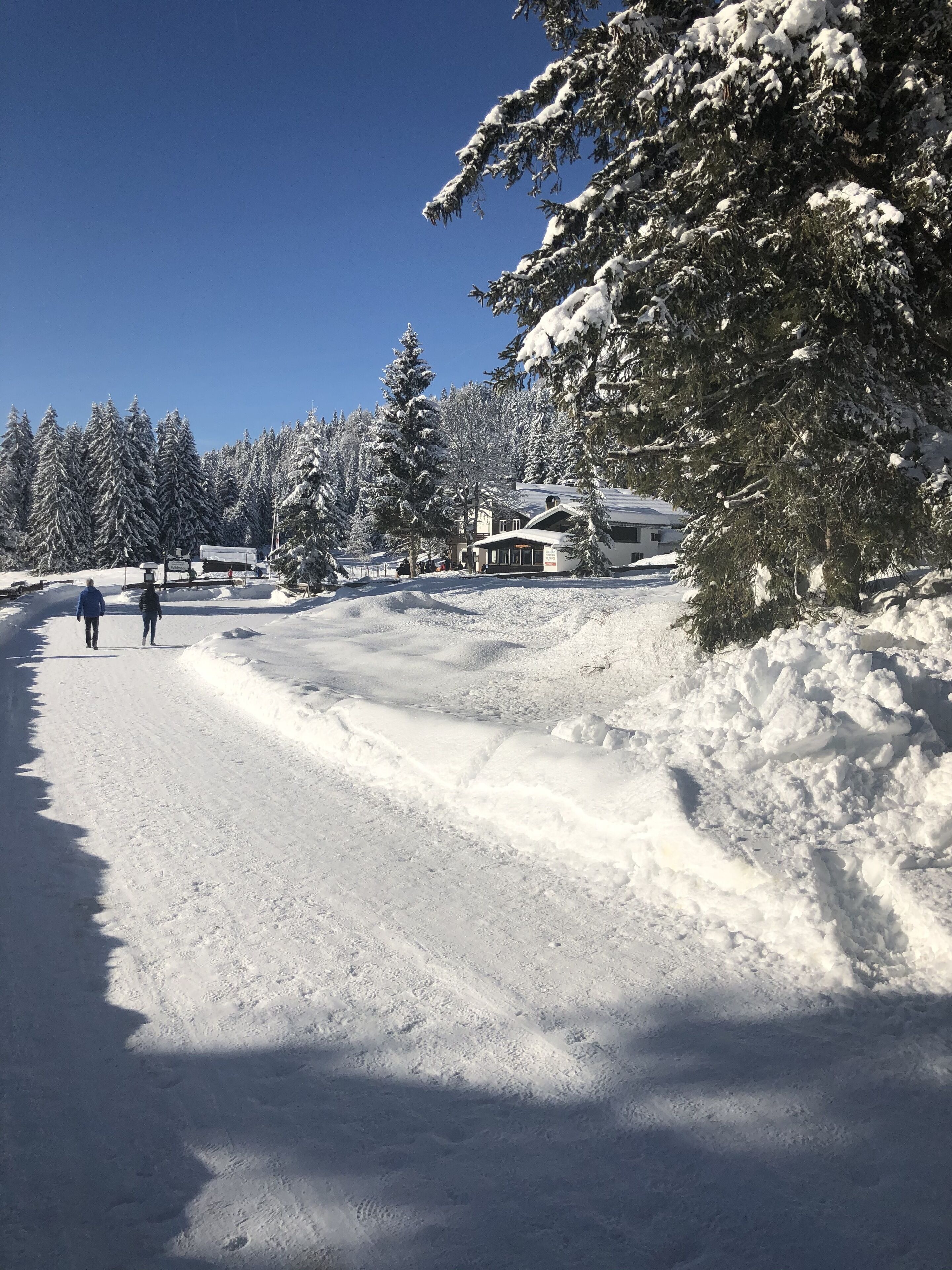 Trugevandring