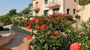 A two-story building with a balcony, surrounded by a garden with red roses. - Amygdalies Apartments (Lemnos)