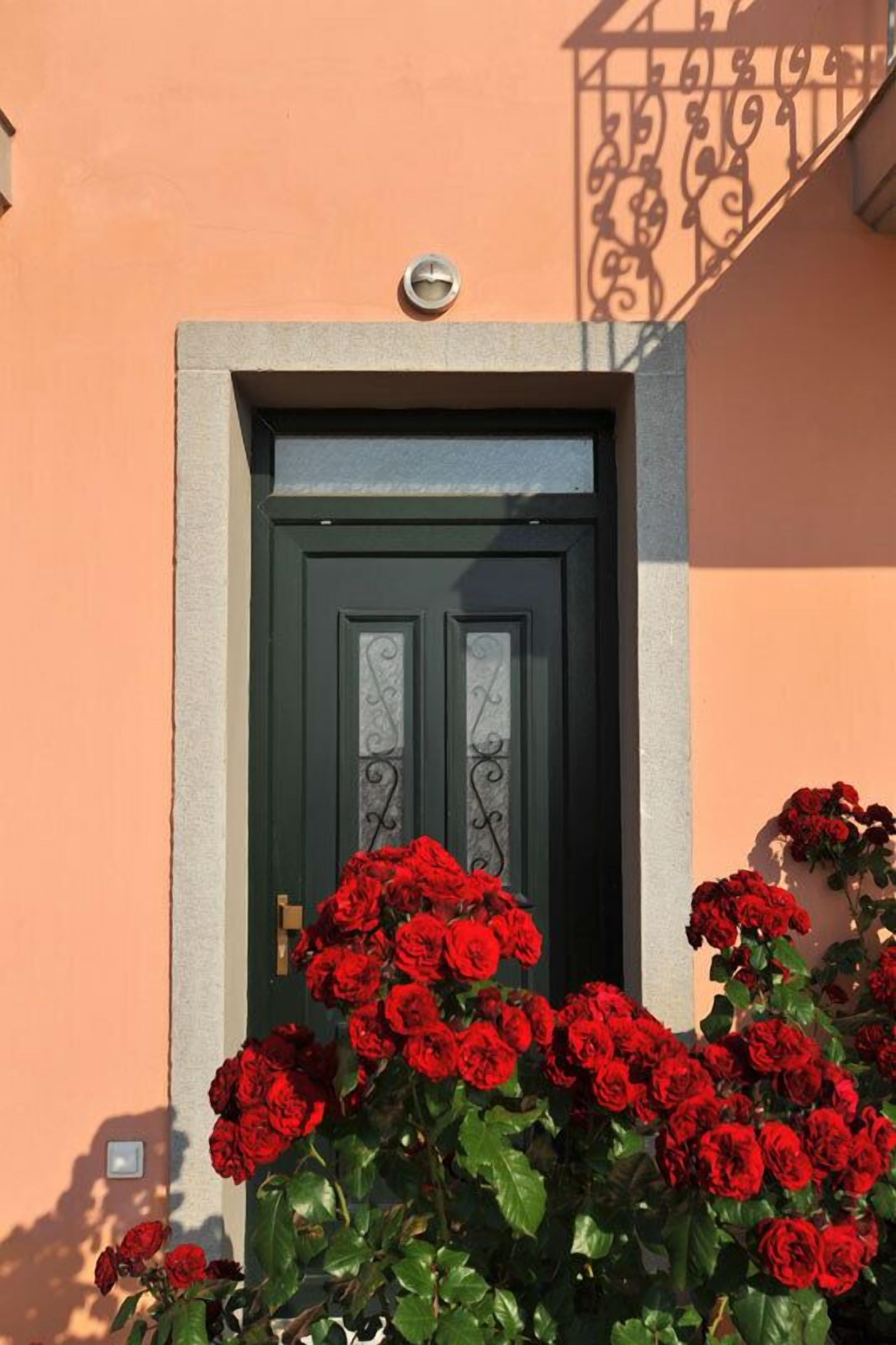 A door with a metal gate, surrounded by red roses.