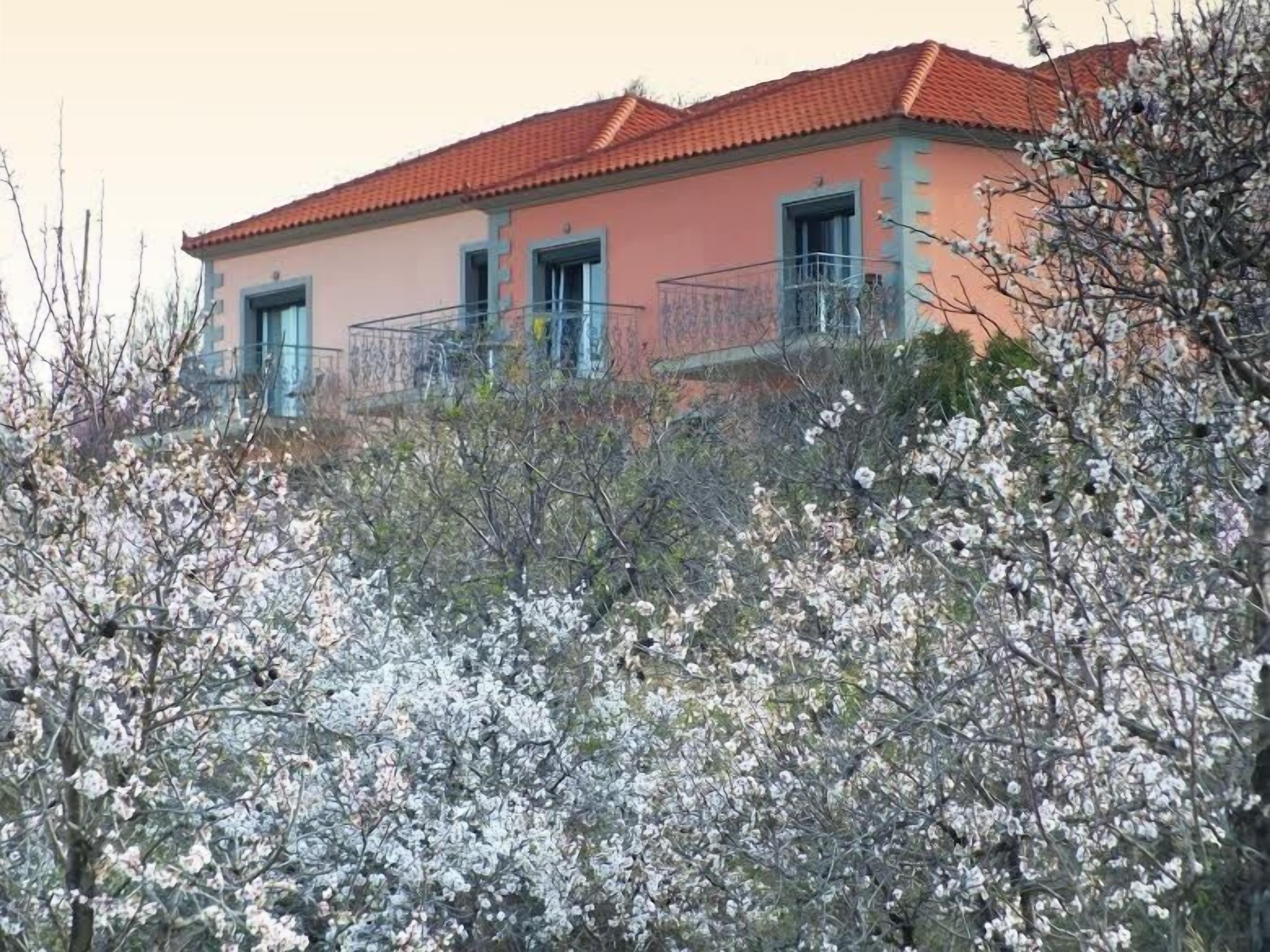 Um edifício com telhado vermelho e fachada rosa, rodeado por árvores floridas.