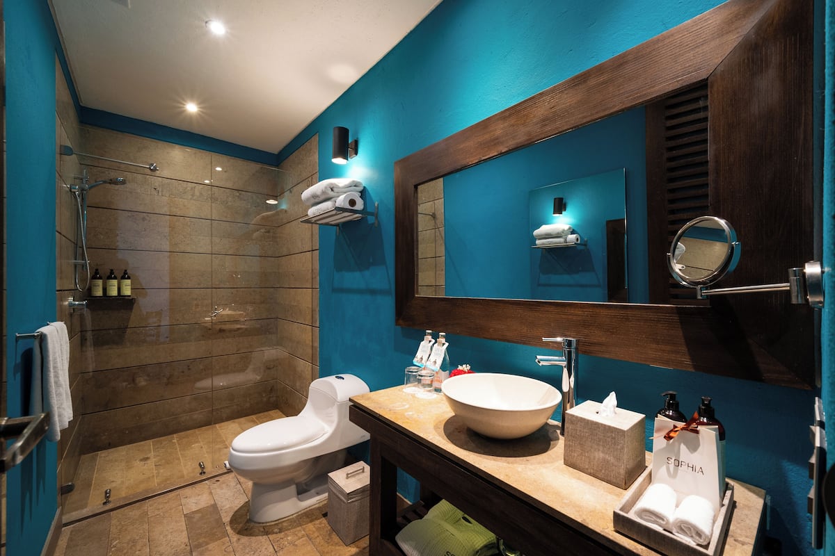 superior room, 1 queen bed | bathroom | shower, free toiletries, hair dryer, bathrobes