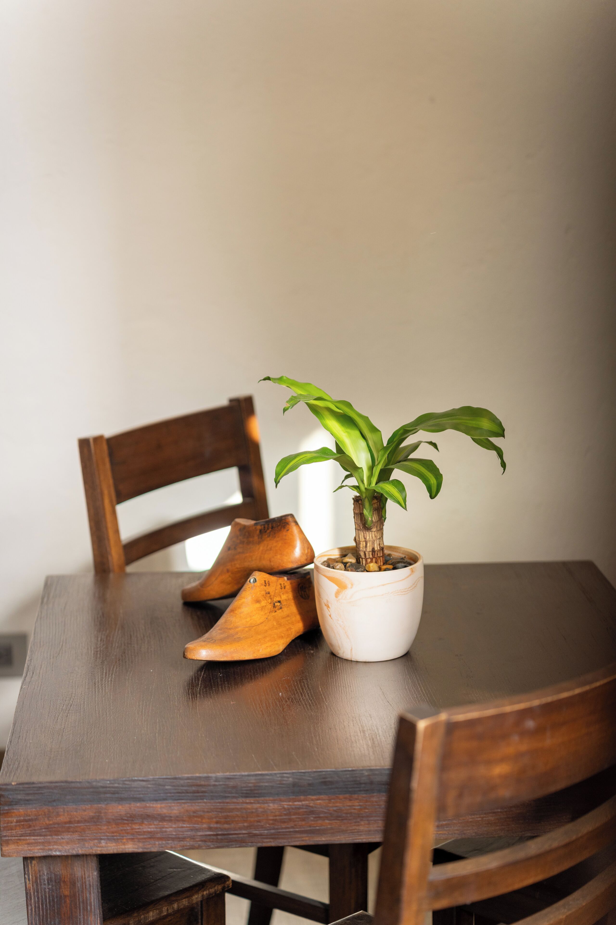 Ein Holztisch mit einem Blumentopf und einem Paar Holzschuhe.
