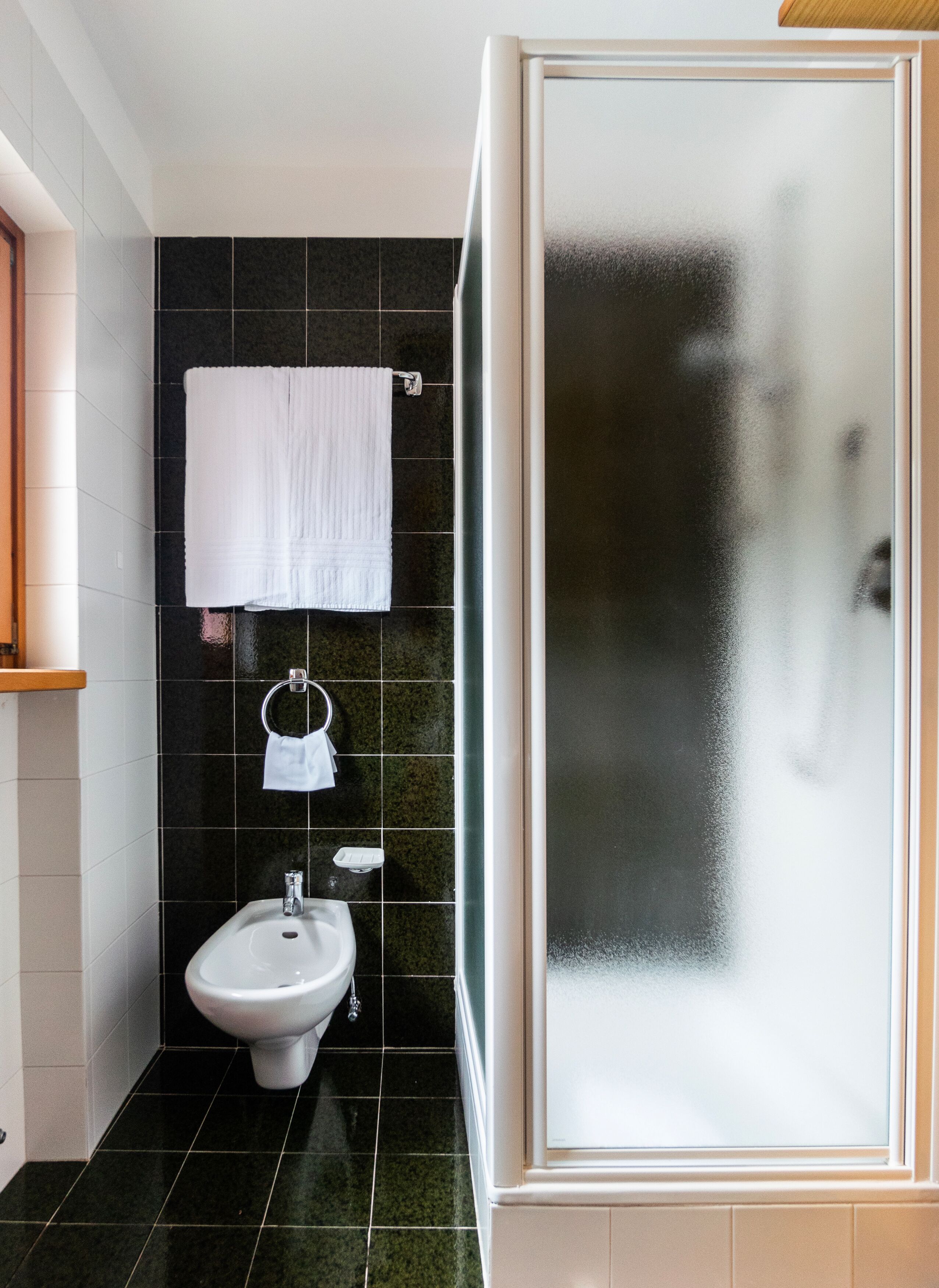 A bathroom with a bidet, a towel rack, and a glass shower enclosure.