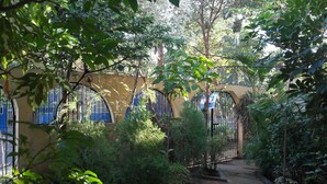 Une cour avec un bâtiment jaune, une porte en métal et diverses plantes.