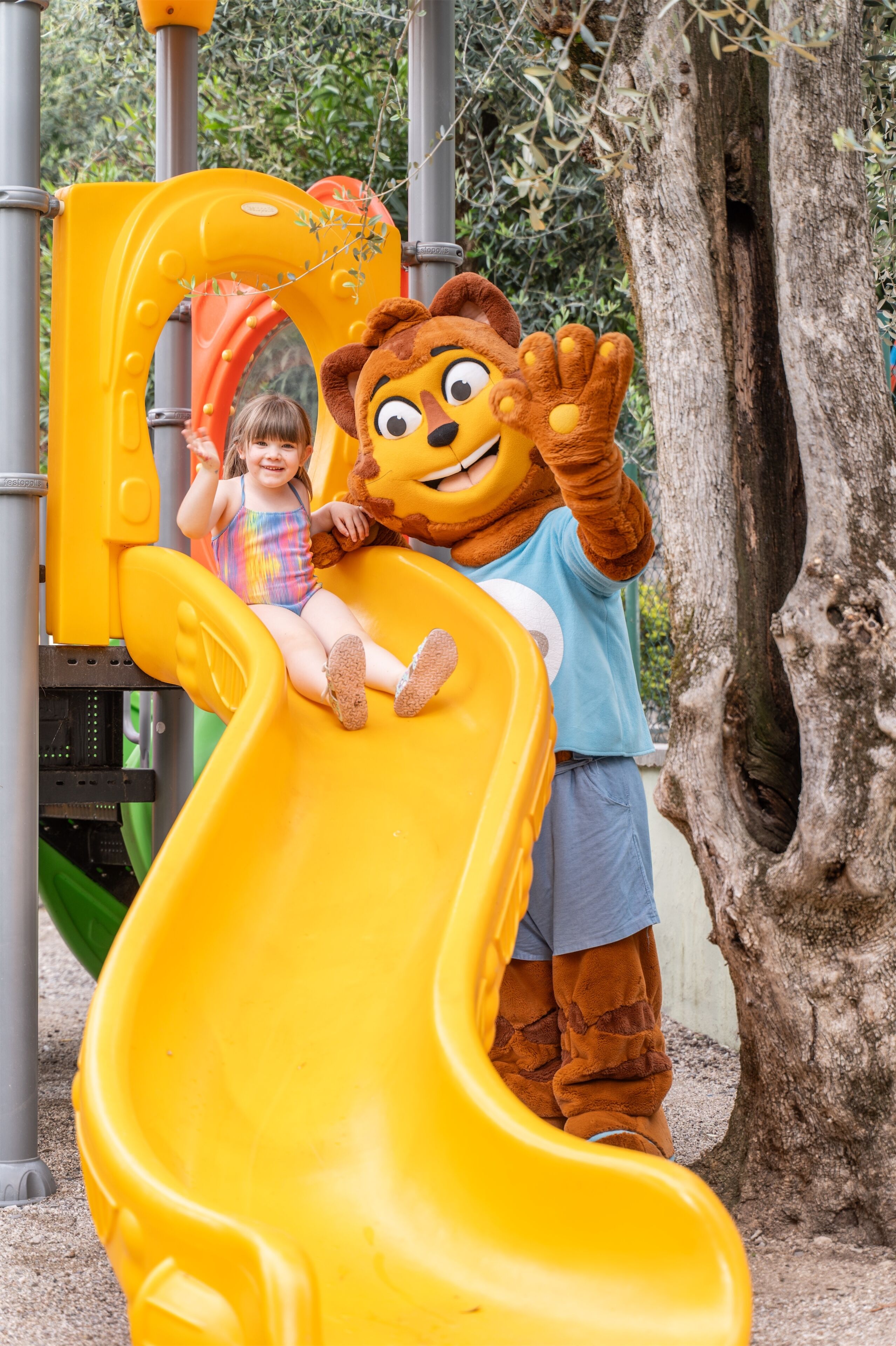 Foto - Majestic Palace