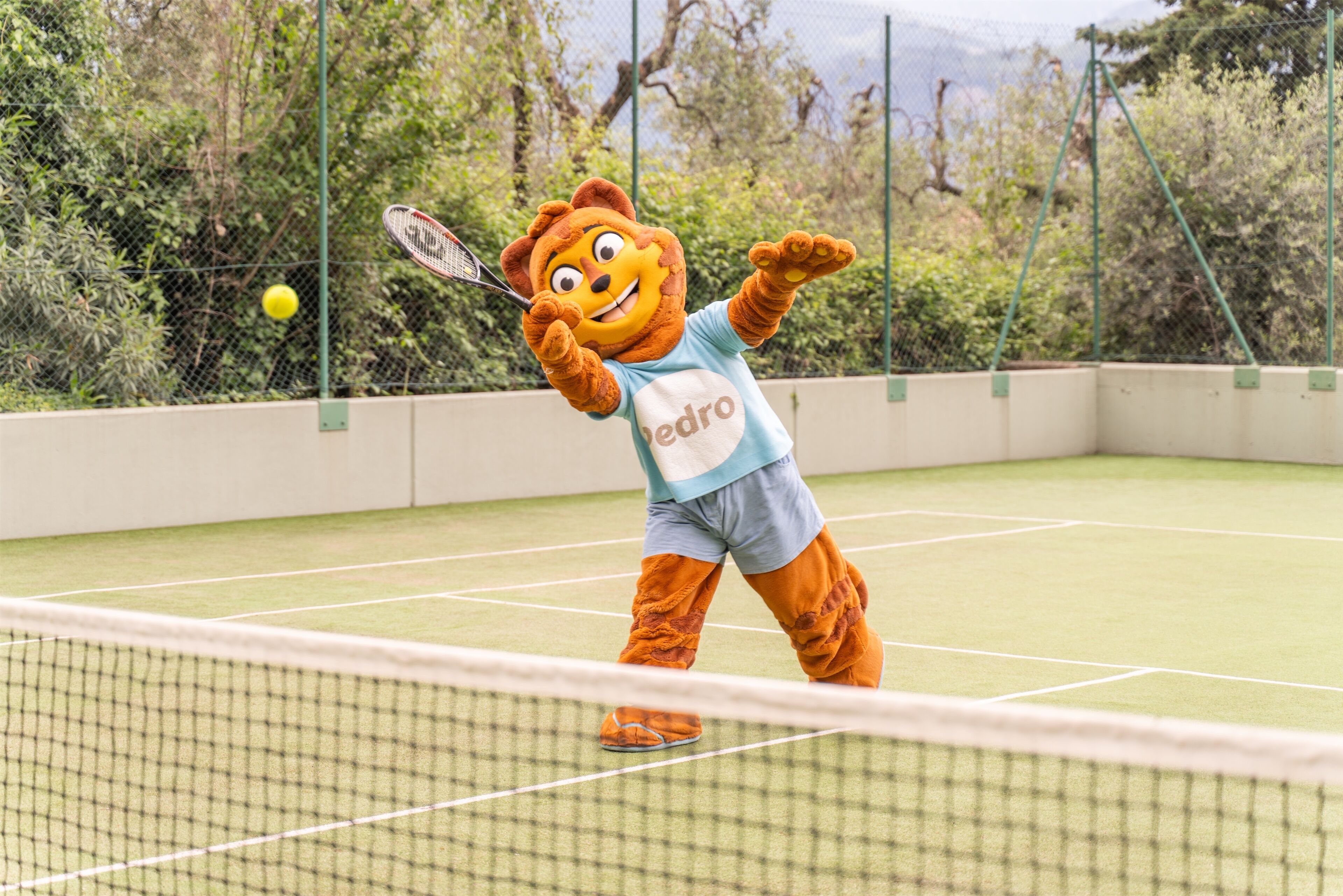 Foto - Majestic Palace